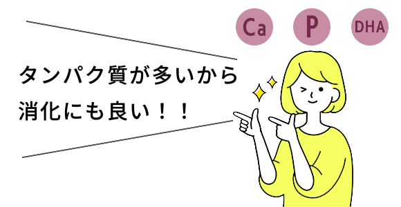 テキスト：タンパク質が多いから消化にもいい！